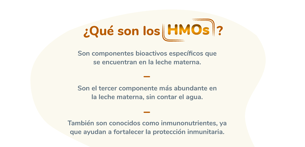 ¿Qué son los HMOs?