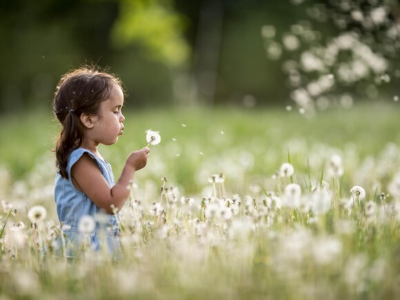 Alergias infantiles y la salud de los niños